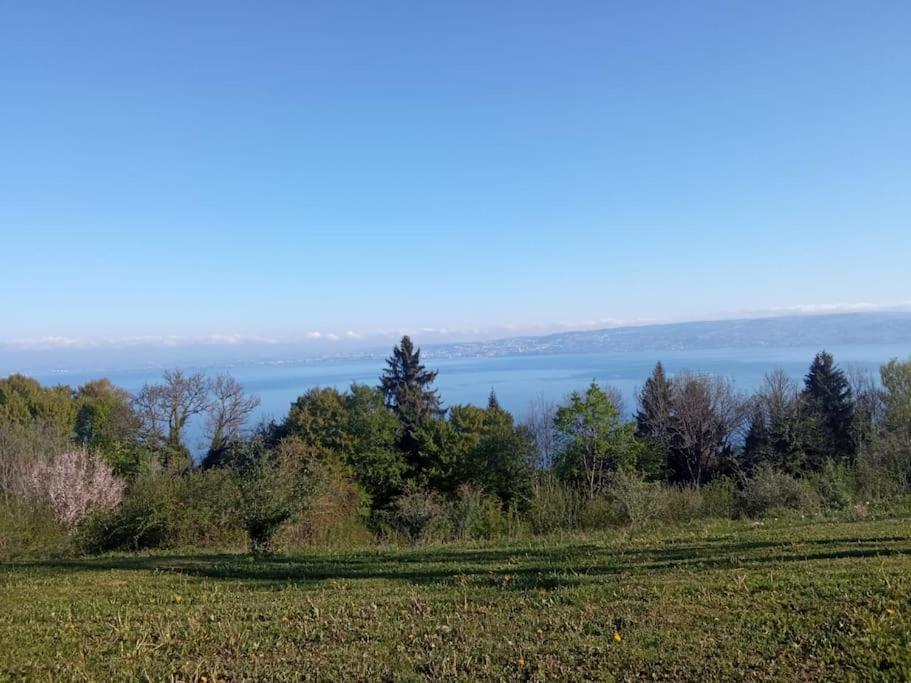 Lugrin Proche Du Lac Et Montagne Exterior photo